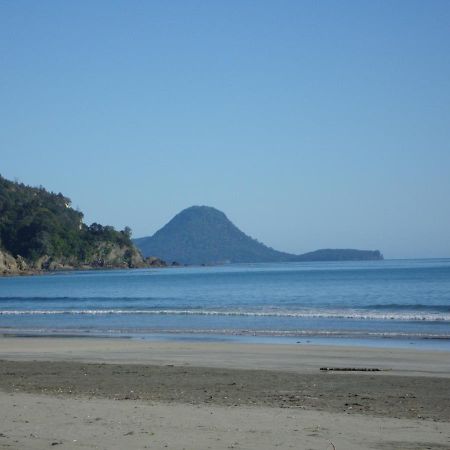 Beachfront Bliss Ohope Ngoại thất bức ảnh