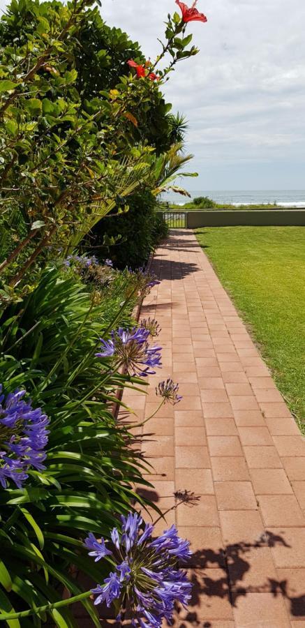 Beachfront Bliss Ohope Ngoại thất bức ảnh